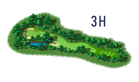 3H